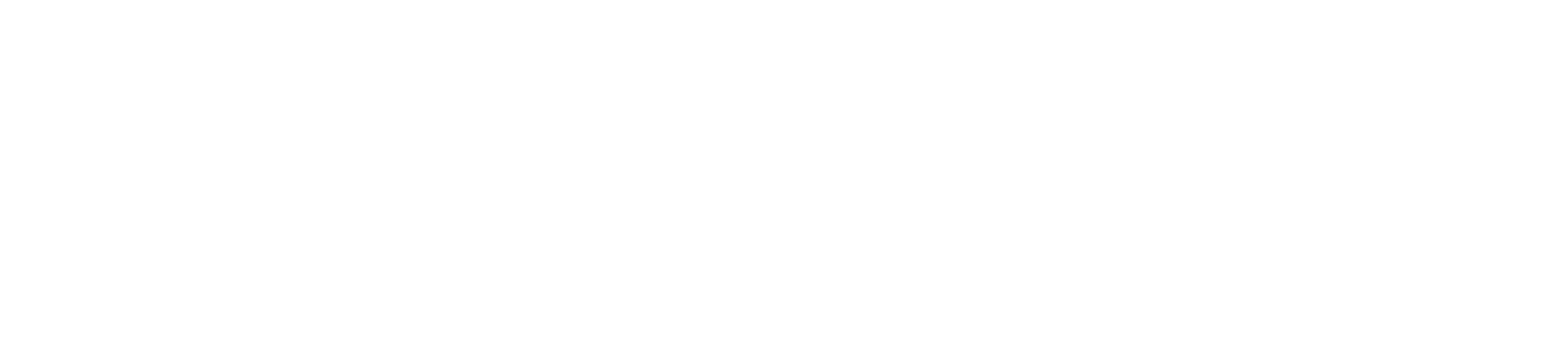 HOLLYLAND MARS T1000